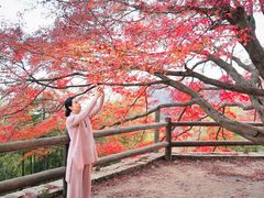 -莫干山风景区