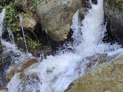 -重庆睡佛山森林公园