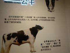 -君乐宝优致牧场