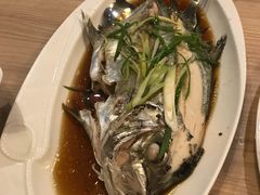 -Isla Sugbu Seafood City