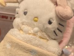 -三丽鸥 Sanrio Gift Gate(汉光百货店)