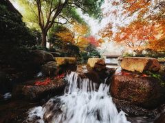 -中国茶叶博物馆(双峰馆区)