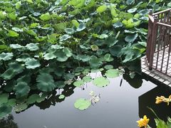 -郑和公园