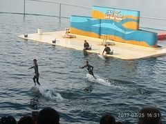 -秦皇岛乐岛海洋王国