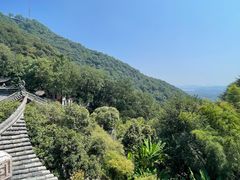 -韬光茶庵
