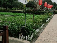 -洪湖家庭农场·团建·露营·会议