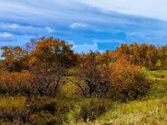 -塞罕坝国家级自然保护区