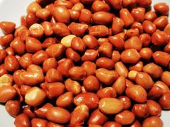 炸花生米-醉炫音速烧烤·干煸菜(沙河总店)
