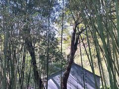 -兰亭风景区