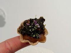 -京兆尹(雍和宫店)