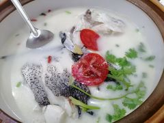-全乐鱼馆·淳牌有机鱼直营店