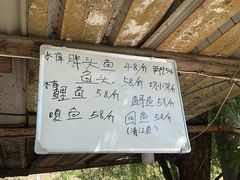 -姥家大锅台水库渔家