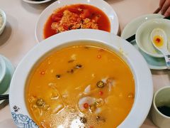 -蜀腾川·火锅鱼.烤鱼(新世界城店)