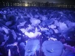 -浔庐餐厅•江西老字号•九江菜(南湖国际店)