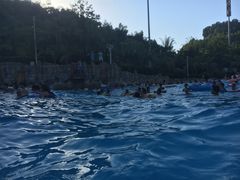 -重庆海昌加勒比海水世界