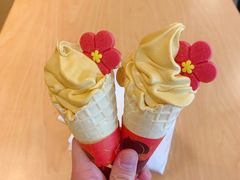 -麦当劳(吴中大道店)