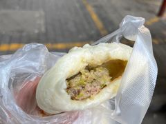 葱肉包子-石家包子(大学习巷店)