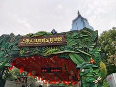 -上海大自然野生昆虫馆
