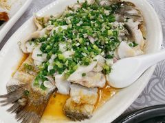 香葱淋鲈鱼-粤·向群饭店(龙津东路总店)