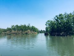 -桤木河湿地公园