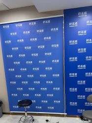 -碧莲盛不剃发植发