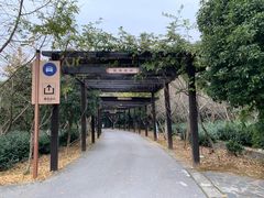 -九龙潭景区