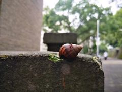 -福建师范大学(仓山校区)