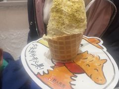 -野人先生现做冰淇淋(贵阳万象汇店)