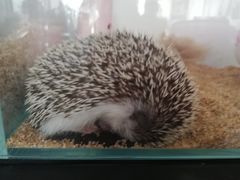 -平行世界·猫咖(首经贸店)