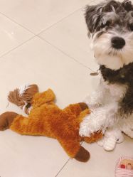 -Adore nail日式美甲美睫