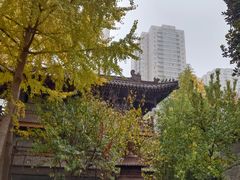 -罔极寺