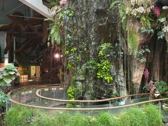 -正佳雨林生态植物园