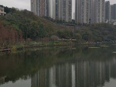-重庆彩云湖湿地公园