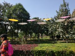 -西安汉城湖景区