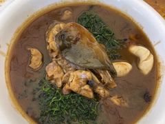 河豚鱼-莆鑫海鲜城(浏河店)