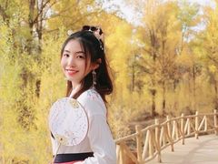 -金塔沙漠胡杨林景区