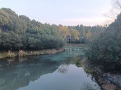 -贡湖湾湿地公园