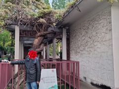 -郑和公园