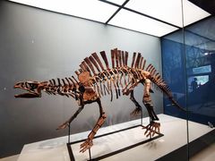 -湖南省地质博物馆