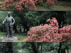 -中国科学院华南植物园