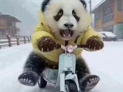 -匠牛道烤肉料理店(西坝河店)