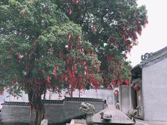-悦城龙母祖庙