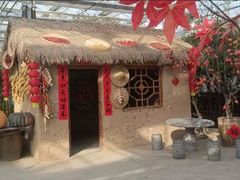 -南和农业嘉年华