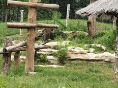 -北京野生动物园