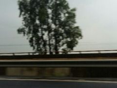 android_upload_pic-长虫山生态公园风景林