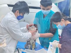 -北京观赏动物医院·24小时大型综合·猫专科·异宠专科