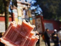 -白帝城·瞿塘峡景区