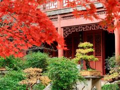 -上海海湾国家森林公园