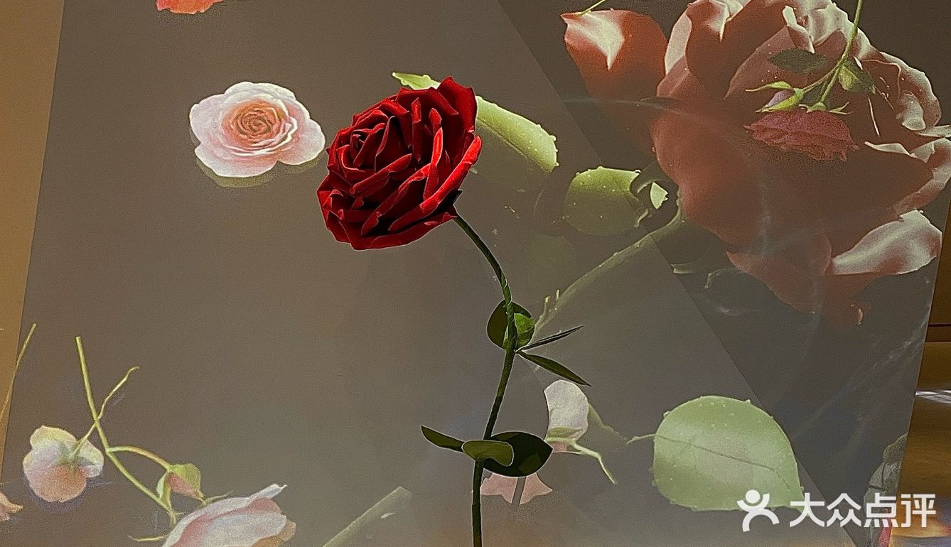 💓今年的520浪漫餐厅肯定要来这家高端的西餐