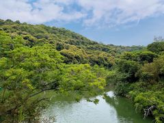 -梧桐山风景名胜区